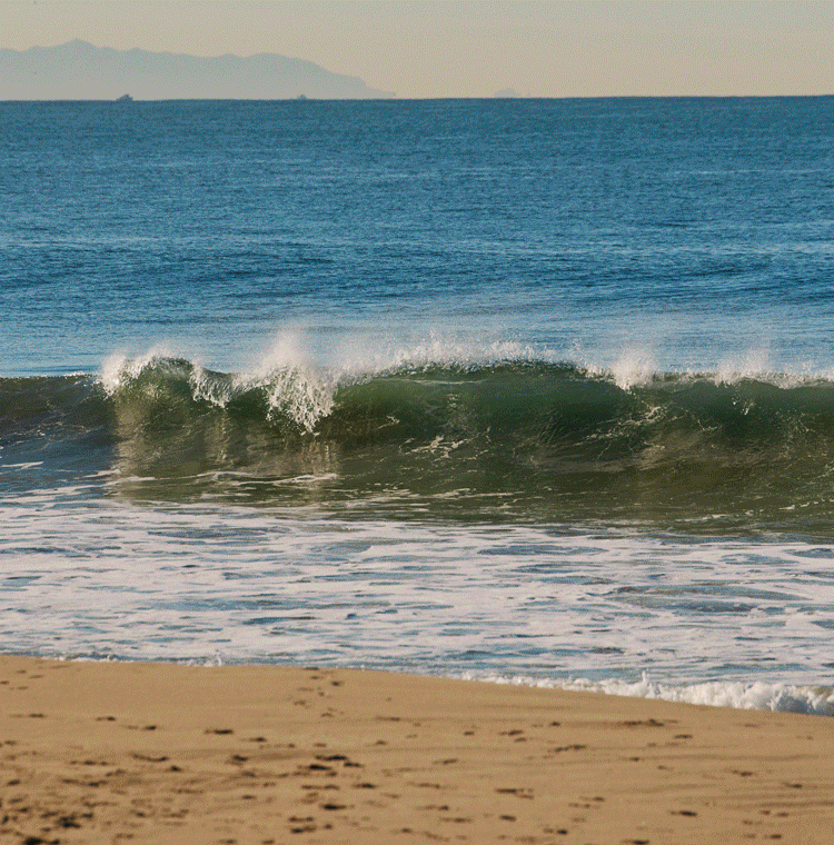 A Gif of multiple people sporting the KEEN Made collection of casual sneakers in various settings including city streets, floral neighborhood sidewalks, casual dining, and the ocean shore.